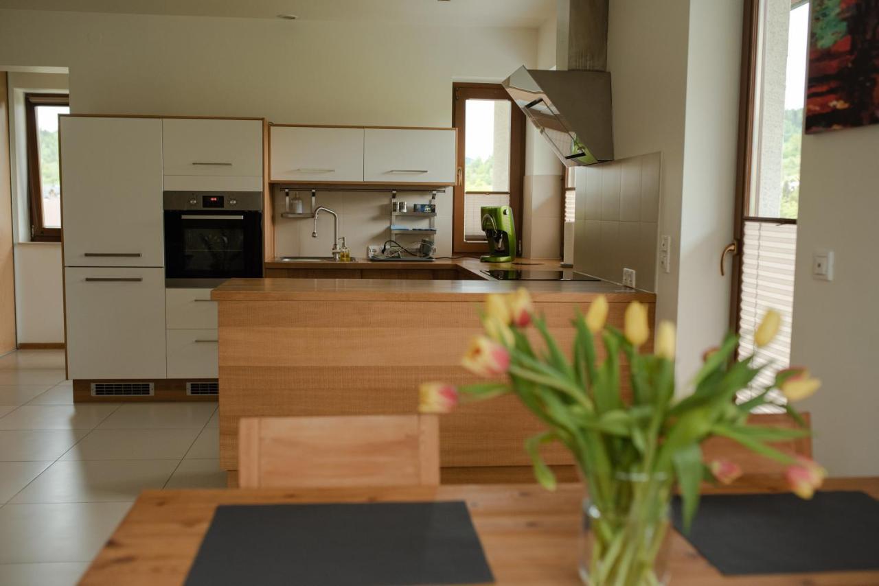 Apartament Słoneczna Rapsodia Rabka Zewnętrze zdjęcie